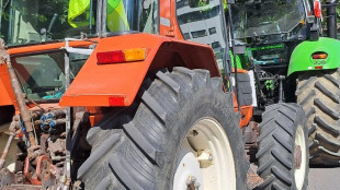 Agricoltori Ue, 'rischi su forniture, aumento dei costi'