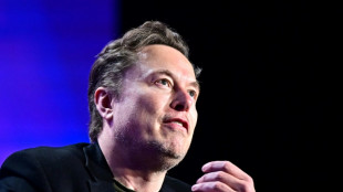 Musk se re&uacute;ne com congressistas para discutir cortes de or&ccedil;amento nos EUA