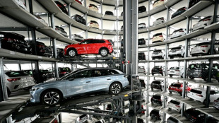 Elektroautos: Umweltorganisation T&E fordert EU-Vorgaben f&uuml;r Dienstwagenflotten