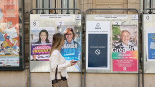 El favorito a la alcald&iacute;a de Par&iacute;s acusa a Macron de interferir en las elecciones