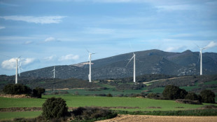 EU leitet Anti-Subventionsuntersuchung gegen chinesische Windturbinen-Bauer ein