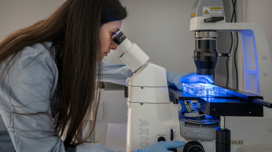 A Bolzano ricerca su organoidi per la medicina della prevenzione