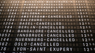 Heavy snow, freezing rain hobble European travel