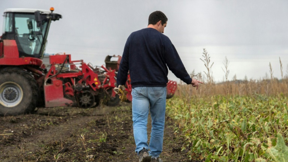 Pesticides: la bataille tactique s'ouvre &agrave; l'Assembl&eacute;e sur la loi Duplomb