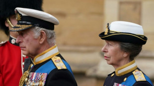 Princesa Anne rejeita ideia de uma monarquia 'reduzida'