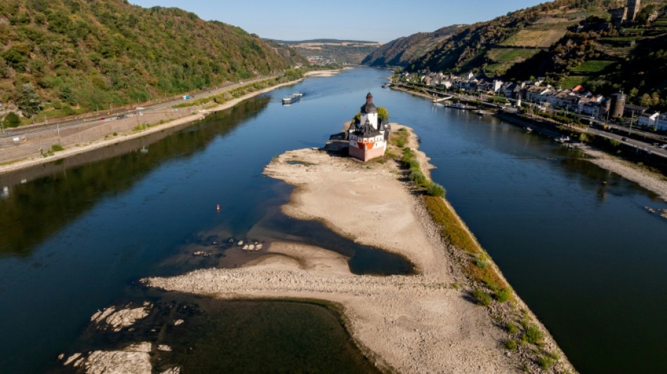  Rhein-Pegelstand bei Kaub steigt leicht auf elf Zentimeter 