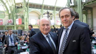 Bewährungsstrafen für Blatter und Platini gefordert