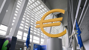El sector privado de la eurozona se mantuvo "pr&aacute;cticamente estable" en abril, seg&uacute;n el &iacute;ndice PMI