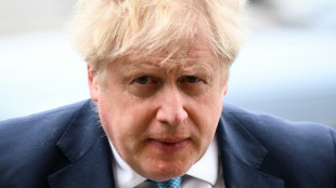 Premier Johnson zahlt in