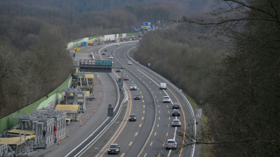  Gericht: AfD-Fahnenschwenken auf Br&uuml;cke &uuml;ber Autobahn zu Recht verboten 