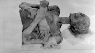 1976: when Ramses came to Paris for a mummy makeover