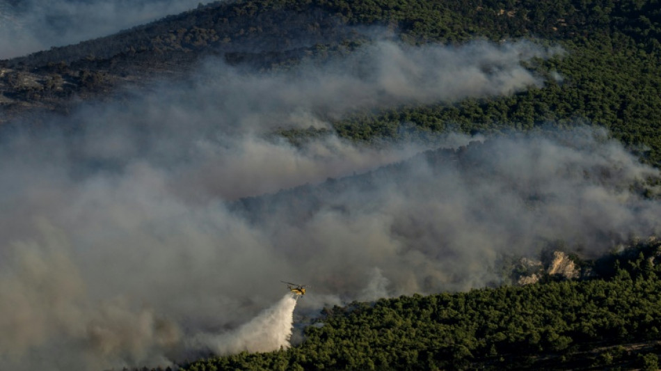  Mehr als 12.000 Hektar Land durch Waldbr&auml;nde in Griechenland zerst&ouml;rt 