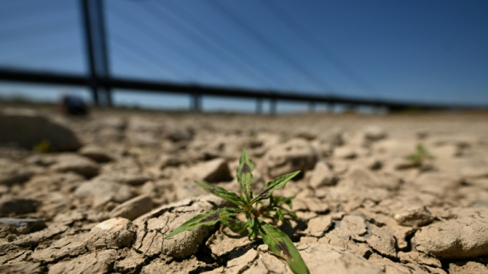  Un julio de calor r&eacute;cord en regiones donde viven 900 millones de personas (an&aacute;lisis AFP) 