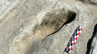Ice-age footprints shed light on North America's early humans