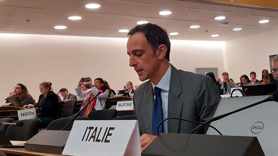 Italia all'Onu, preoccupati per 'crimini atroci' in Myanmar