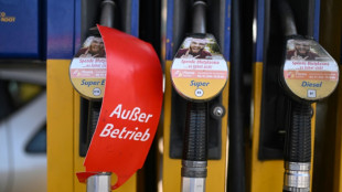 Alemania toma medidas de urgencia para garantizar sus necesidades energ&eacute;ticas