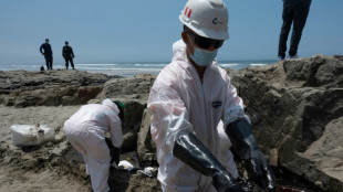 Playas y fauna marina afectadas en Perú por derrame petrolero