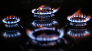 Arera, a maggio bolletta del gas +0,1% per vulnerabili
