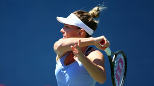 Tennis: les chevronn&eacute;es Halep et Pliskova face &agrave; Pegula et Haddad Maia en demies &agrave; Toronto