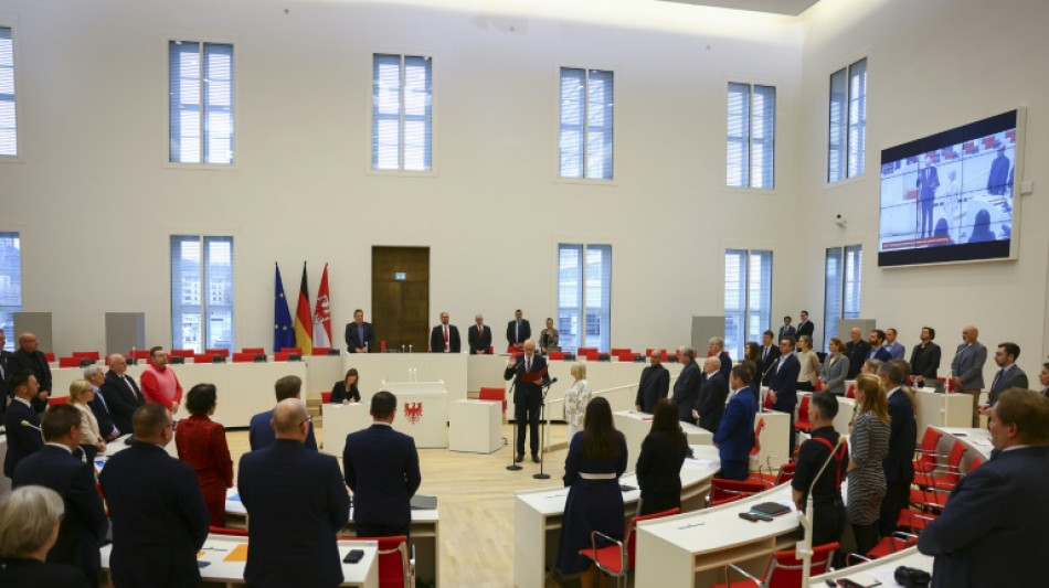 Umfrage: AfD in Brandenburg auf neuem Höchststand - knappe Hälfte für Neuwahlen