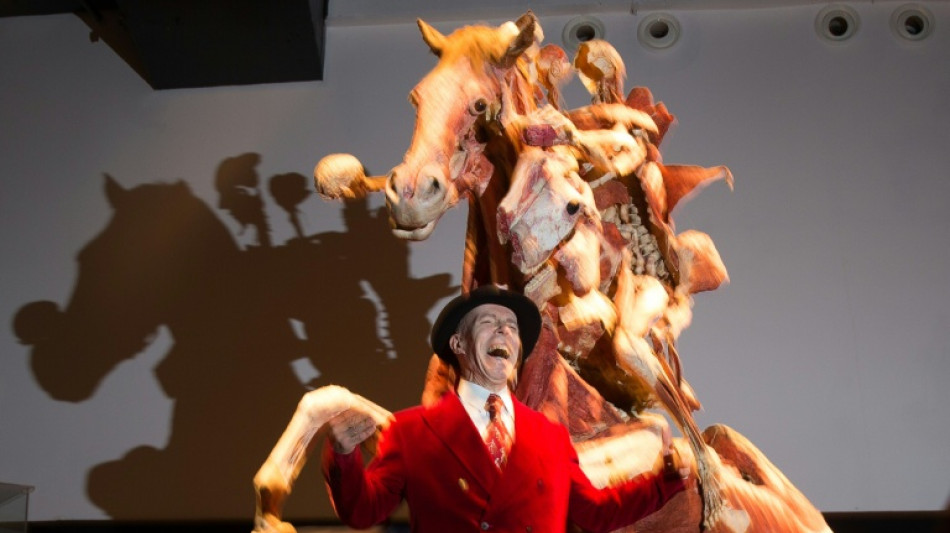  German creator of 'Body Worlds' anatomy exhibits dead at 81 