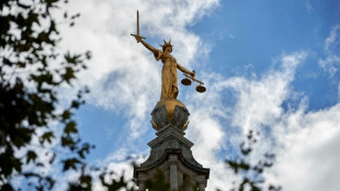 UK govt moves to block sentencing guidelines for minority defendants