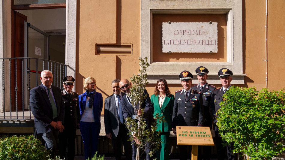  'Un albero per la salute', in quattro anni 130 piantumazioni negli ospedali italiani 
