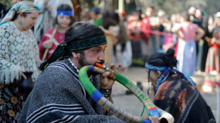 L&iacute;deres ind&iacute;genas concluyen una peregrinaci&oacute;n mundial en Chile con un rezo por la naturaleza