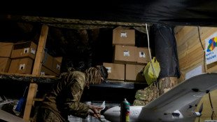 Kiev enverra "prochainement" au Moyen-Orient des experts militaires en drones