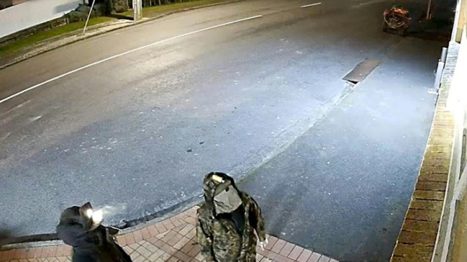  New Zealand agencies missed red flags in child kidnapping case: inquiry 