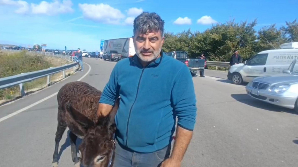  L'asinella Susy alla protesta nel Foggiano, 'costa meno del gasolio' 