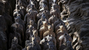 Cina, turista danneggia due guerrieri di terracotta a Xi'an