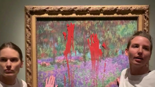 Klimaaktivistinnen kleben sich in Stockholm an Monet-Gemälde fest