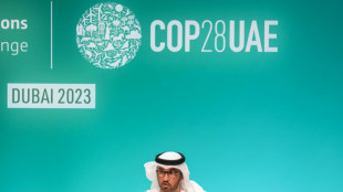 Presidente da COP28 diz que respeita a ciência climática