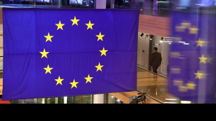 Ue, 'Usa rispettino impegni commerciali, proteggiamo Paesi membri'