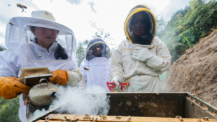 Avec une subvention de l'ONU, des apicultrices des Andes p&eacute;ruviennes d&eacute;fient le climat et l'isolement financier