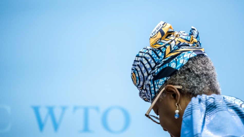  WTO mulls future of global trade under cloud of Mideast war 