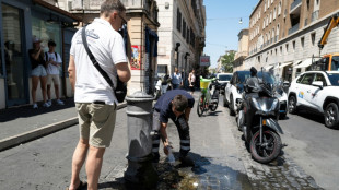 Hitzewarnung f&uuml;r fast ganz Westdeutschland - H&ouml;hepunkt der Hitzewelle in Frankreich