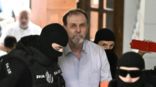 Attentat auf slowakischen Regierungschef Fico: Mutmaßlicher Täter vor Gericht