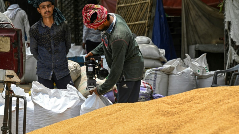 Cientos de miles de toneladas de trigo bloqueadas en un puerto indio