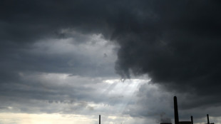 Energiewirtschaft fordert schnelle Umsetzung von Kraftwerksgesetz