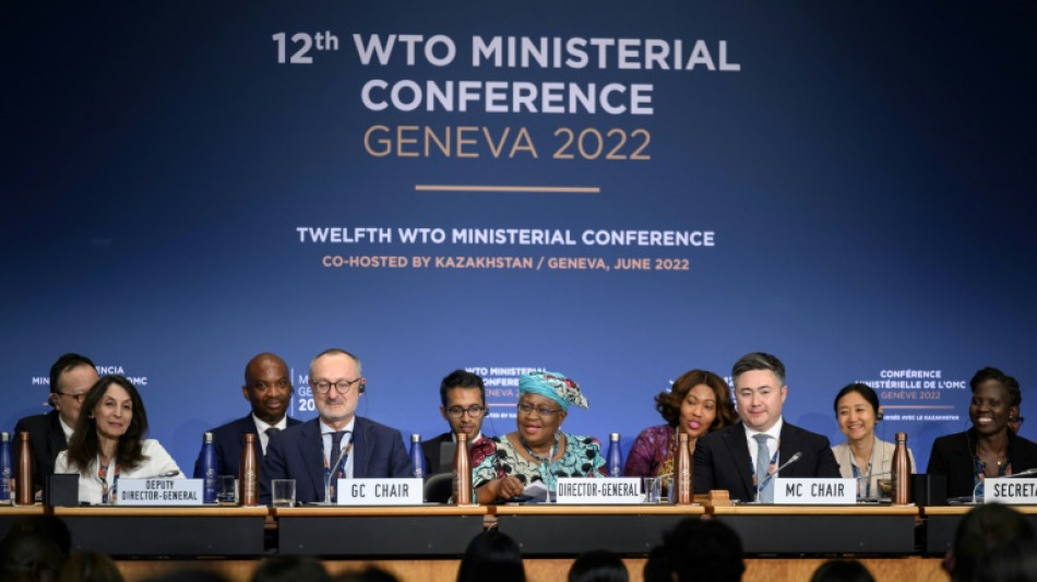WTO meldet Durchbruch bei Verhandlungen über Fischerei und Impfstoff-Patente