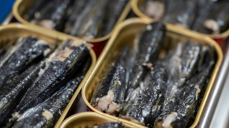 La sardine en bo&icirc;te mise &agrave; mal par le changement climatique