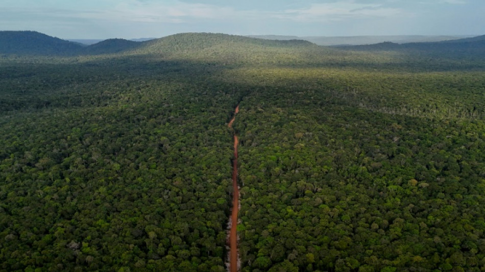 Una legendaria ruta es vista como un salvavidas econ&oacute;mico en Guyana