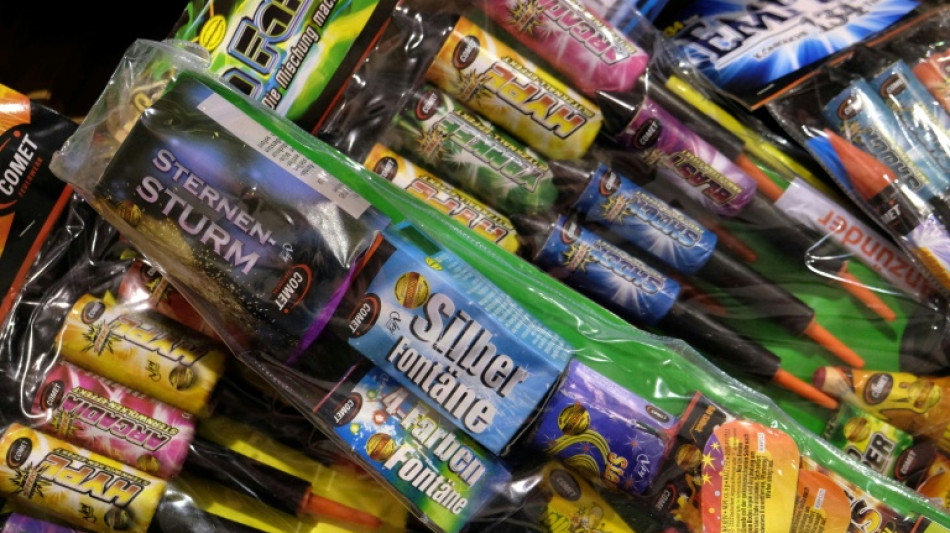  Diebe pl&uuml;ndern in mehreren F&auml;llen Container mit B&ouml;llern - tausende Euro Schaden 