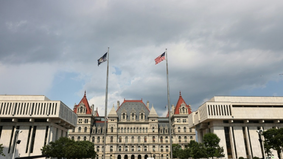  IS-Anh&auml;ngerin soll Anschlag auf Parlament von Bundesstaat New York geplant haben 