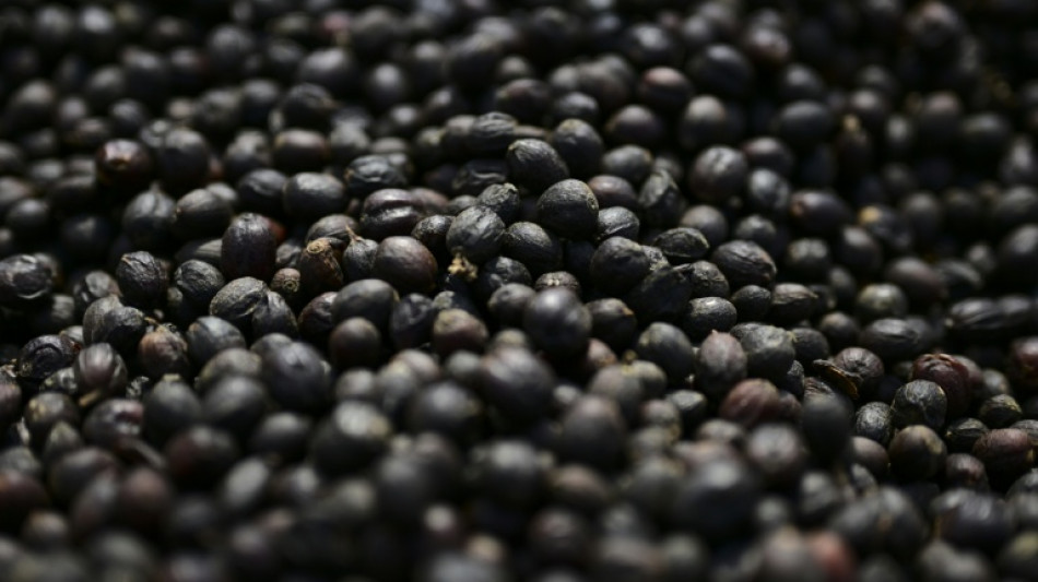 Bundesgerichtshof urteilt über Kaffeewerbung mit reduziertem Preis