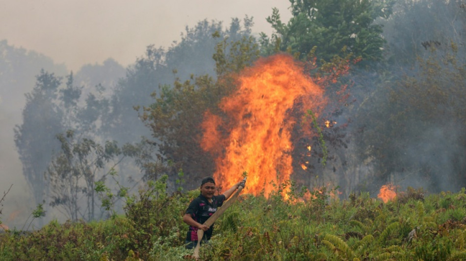 Indonesia fires burned over 1.9 mn hectares through September: monitor 