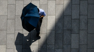 Verb&auml;nde und Opposition fordern von Bundesregierung besseren Hitzeschutz