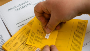 Bundespolizei registriert 2022 bislang 800 F&auml;lle gef&auml;lschter Gesundheitszeugnisse